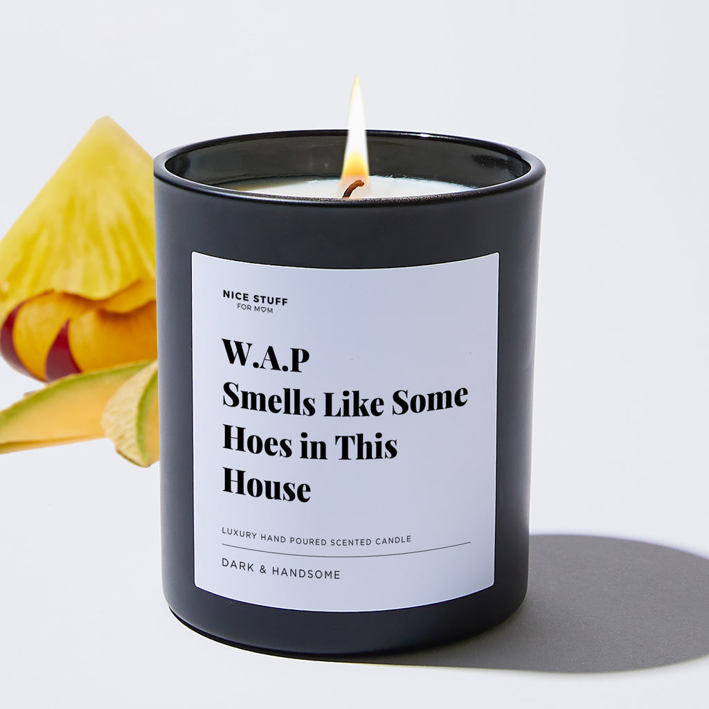 WAP, Smells Like Some Hoes in This House - Large Black Luxury Candle 62 Hours