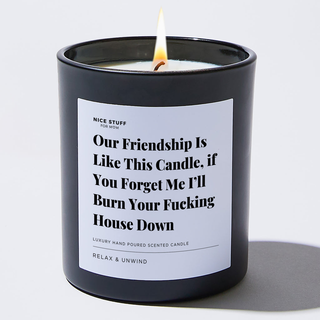 Our Friendship is like this Candle, if You Forget Me I’ll Burn your Fucking House Down - Large Black Luxury Candle 62 Hours