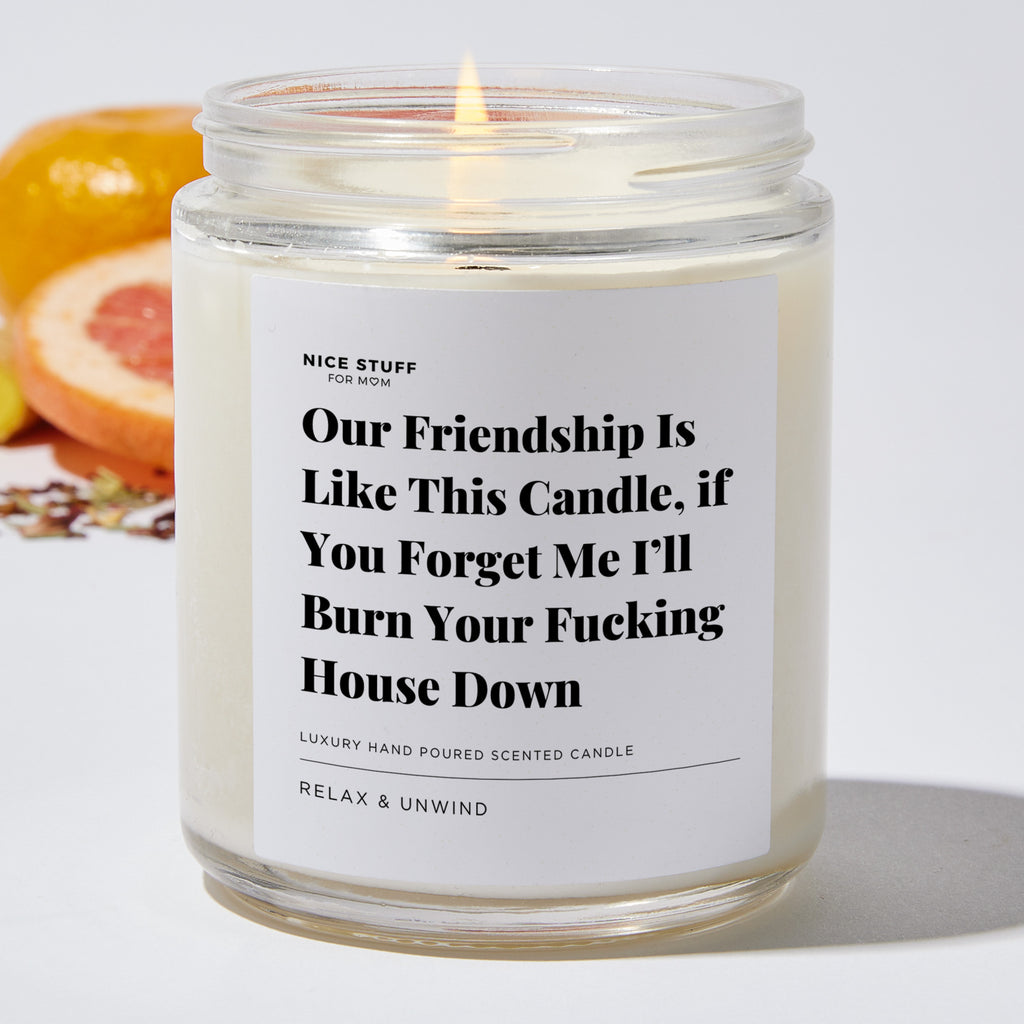 Our Friendship is like this Candle, if You Forget Me I’ll Burn your Fucking House Down - Luxury Candle Jar 35 Hours