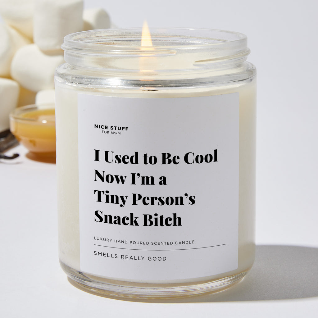 Candles - I Used to be Cool now I'm a Tiny Person's Snack Bitch