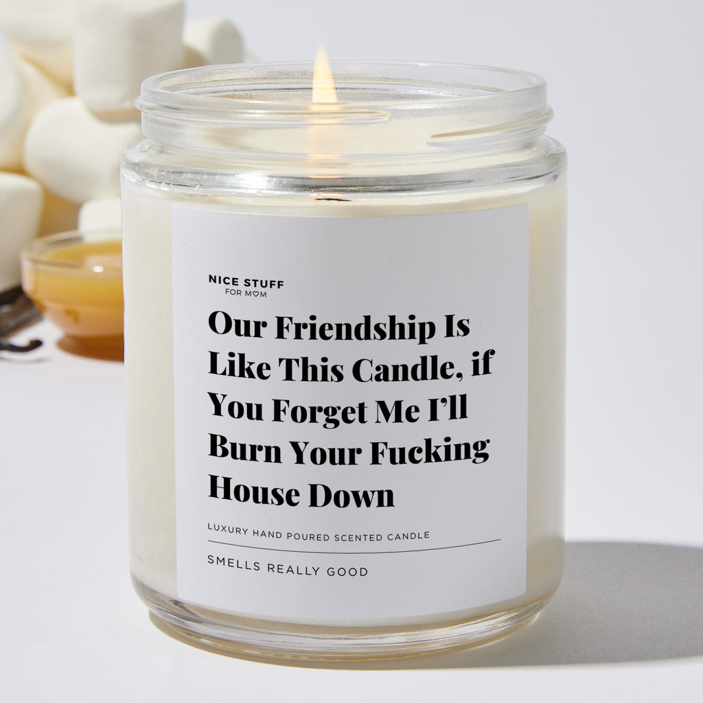 Our Friendship is like this Candle, if You Forget Me I’ll Burn your Fucking House Down - Luxury Candle Jar 35 Hours