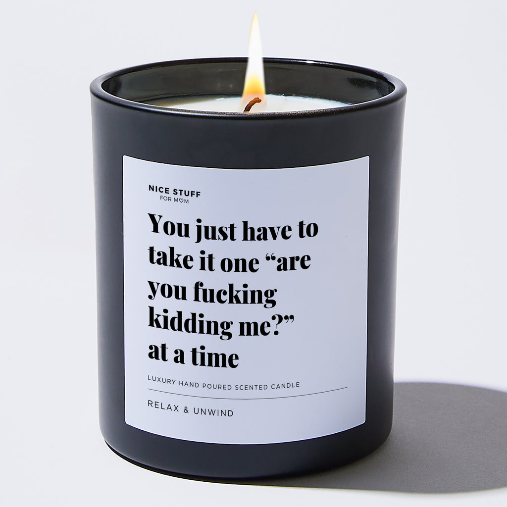 Candles - You Just Have to Take it One  Are You Fucking Kidding Me?  at a Time - For Mom - Nice Stuff For Mom