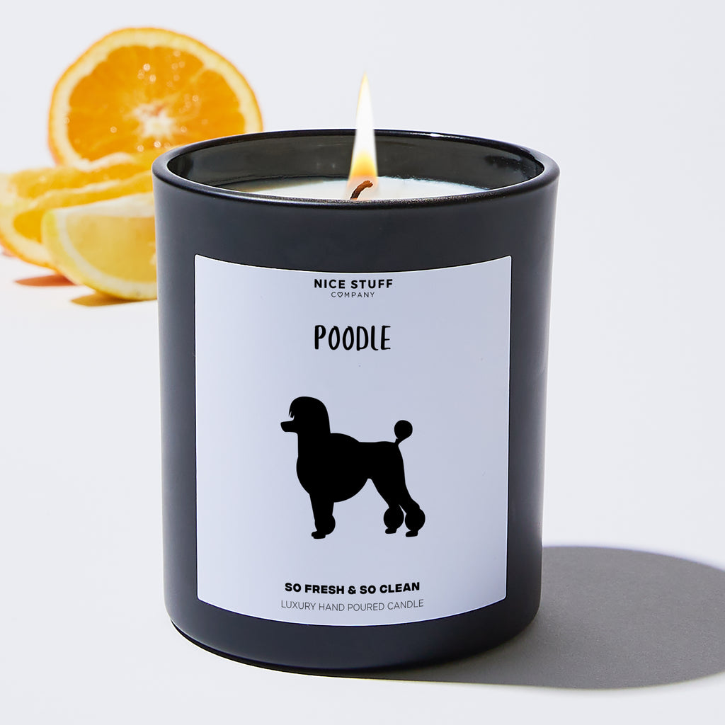 Poodle - Pets Black Luxury Candle 62 Hours