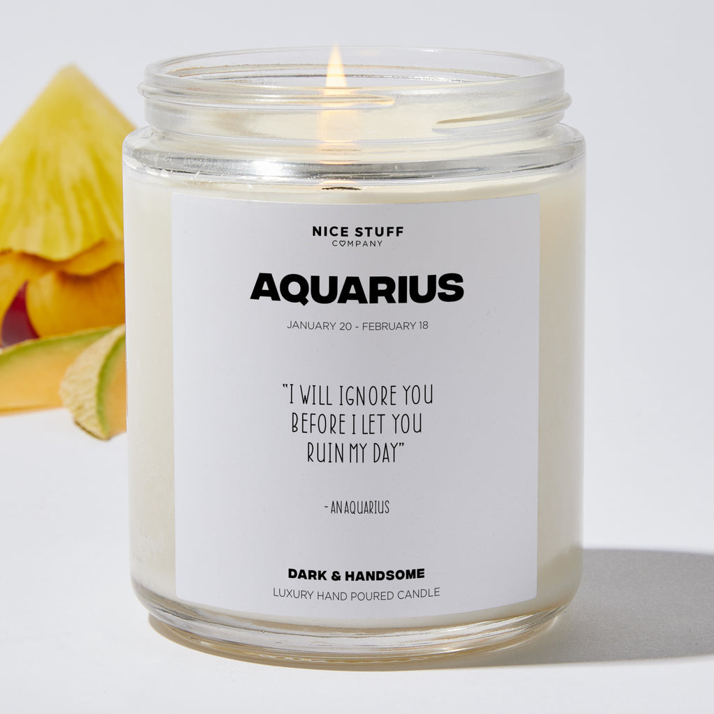 I will ignore you before I let you ruin my day - Aquarius Zodiac Luxury Candle Jar 35 Hours