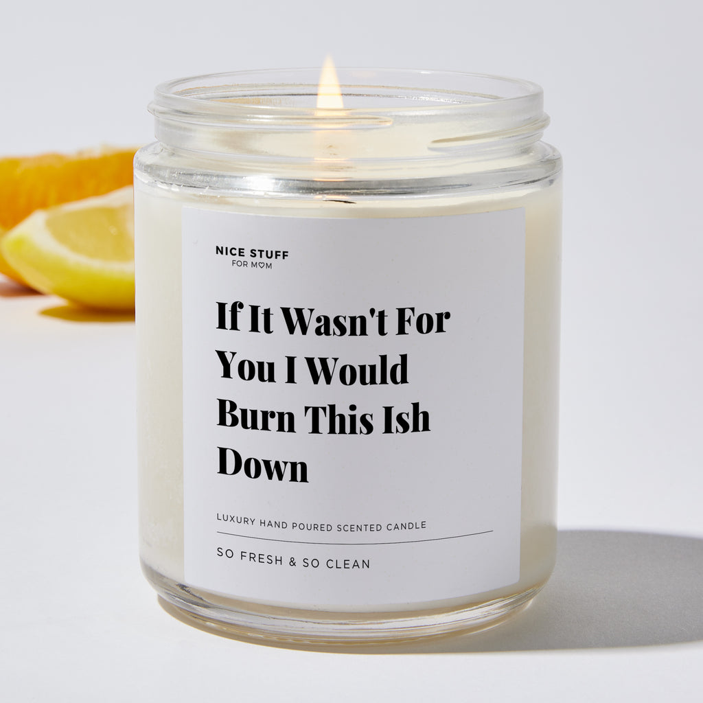 If It Wasn't For You I Would Burn This Ish Down - For Mom Luxury Candle